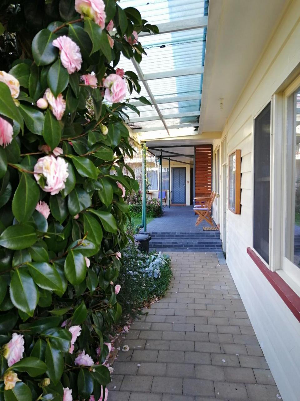 Wintersun Gardens Motel Бичено Екстериор снимка